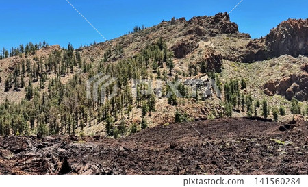 A stunning and breathtaking Lava Rock Landscape featuring majestic Pines under a Clear Blue Sky A stunning and breathtaking Lava Rock Landscape featuring majestic Pines under a Clear Blue Sky 141560284