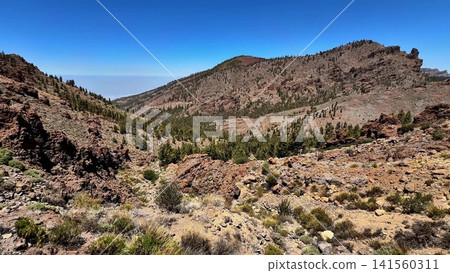 A stunning mountain landscape with a dense forest and picturesque views across the horizon A stunning mountain landscape with a dense forest and picturesque views across the horizon 141560311