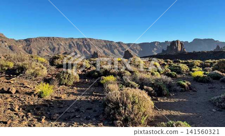 The absolutely stunning and breathtaking landscape of Teide National Park located in Tenerife The absolutely stunning and breathtaking landscape of Teide National Park located in Tenerife 141560321