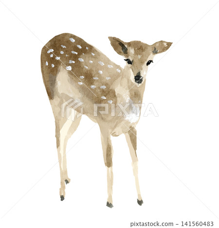 Watercolor-style female deer fawn with markings, standing. Watercolor-style female deer fawn with markings, standing. 141560483