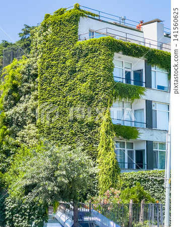Modern apartment building covered in green ivy with balconies and clear blue sky Modern apartment building covered in green ivy with balconies and clear blue sky 141560625