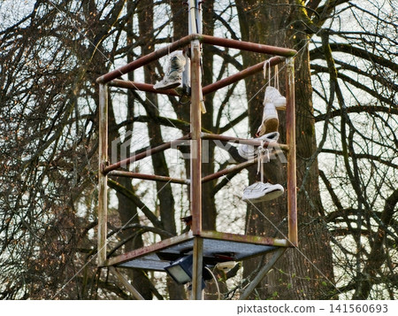 Frozen crumbs gather on platform. Bird feeder with seed debris shows winter habitat maintenance Frozen crumbs gather on platform. Bird feeder with seed debris shows winter habitat maintenance 141560693