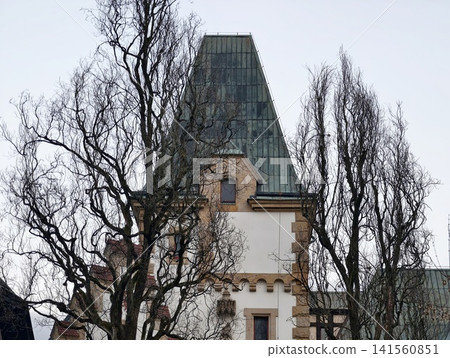 Heritage site featuring pointed spire surrounded by skeletal winter branches and cloudy backdrop Heritage site featuring pointed spire surrounded by skeletal winter branches and cloudy backdrop 141560851