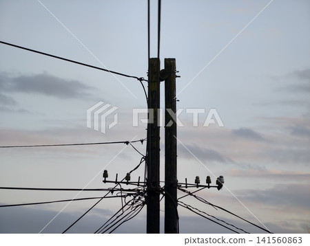 Silhouetted birds rest on pole. Peaceful urban landscape featuring birds and tangled utility wires Silhouetted birds rest on pole. Peaceful urban landscape featuring birds and tangled utility wires 141560863