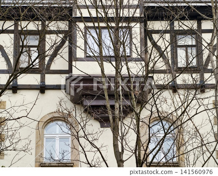 Elegant house with classic details. Authentic heritage architecture with natural winter landscape accents Elegant house with classic details. Authentic heritage architecture with natural winter landscape accents 141560976