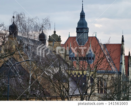 Decorative winter scene. Detailed depiction of winter with architectural grandeur and muted colors 141561003