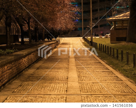 Tranquil evening radiance illuminating deserted park featuring decorative paving and faraway structures Tranquil evening radiance illuminating deserted park featuring decorative paving and faraway structures 141561036