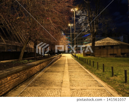 Urban pathway illuminated by stark lampposts. Deserted city walkway under sharp shadowy lamplight glow Urban pathway illuminated by stark lampposts. Deserted city walkway under sharp shadowy lamplight glow 141561037