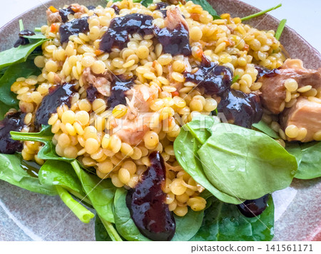 Healthy salad with lentils, spinach, and chicken pieces drizzled with a dark sauce on a round plate against a light background Healthy salad with lentils, spinach, and chicken pieces drizzled with a dark sauce on a round plate against a light background 141561171