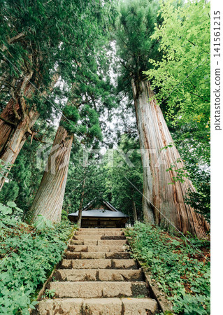 [戶隱神社，長野市] 戶隱神社，日之子神社，進神社的路 141561215