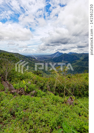 Panoramic Landscape of Black River Gorges National Park, Mauritius Panoramic Landscape of Black River Gorges National Park, Mauritius 141561250