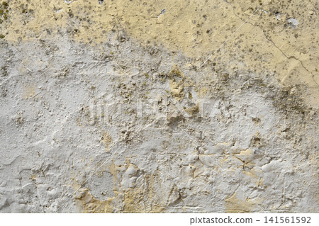 Old Plaster Wall with Mold and Peeling Paint 141561592
