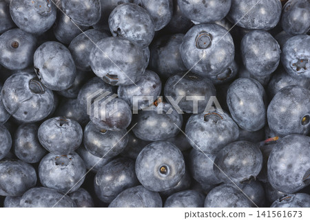 Fresh Raw Blueberries Background Texture 141561673