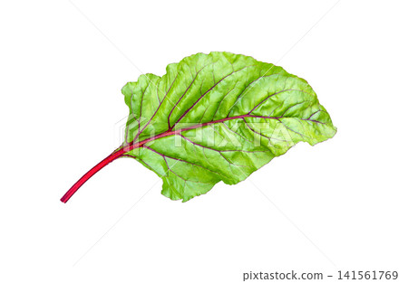 Beet, beetroot leaves isolated on white. Beet leaf. 141561769