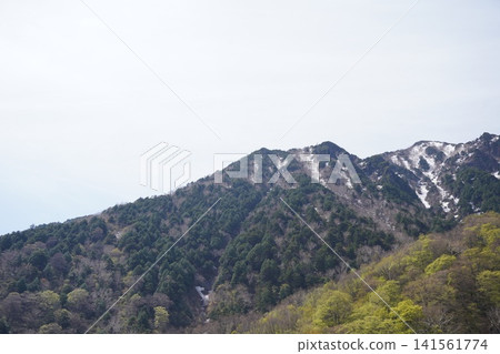 山 山 141561774