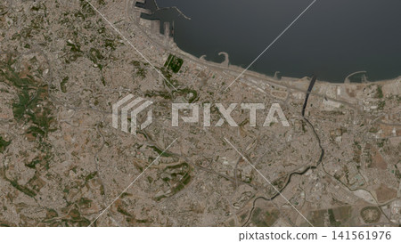 Top-down aerial illustration of Algiers, Algeria Top-down aerial illustration of Algiers, Algeria 141561976