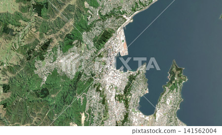 Top-down aerial illustration of Wellington, New Zealand Top-down aerial illustration of Wellington, New Zealand 141562004