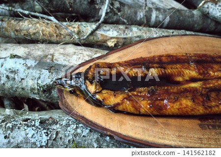 Eels at the campsite 141562182