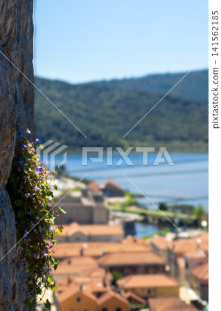 Vertical shot of Ston, Croatia, from the old walls with a blurred background of the town bathed by the blue sea Vertical shot of Ston, Croatia, from the old walls with a blurred background of the town bathed by the blue sea 141562185