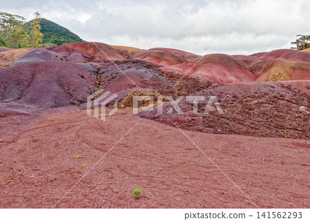 The Famous Seven Coloured Earths Volcanic Dunes in Chamarel, Mauritius The Famous Seven Coloured Earths Volcanic Dunes in Chamarel, Mauritius 141562293