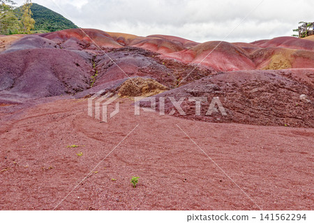 The Famous Seven Coloured Earths Volcanic Dunes in Chamarel, Mauritius The Famous Seven Coloured Earths Volcanic Dunes in Chamarel, Mauritius 141562294