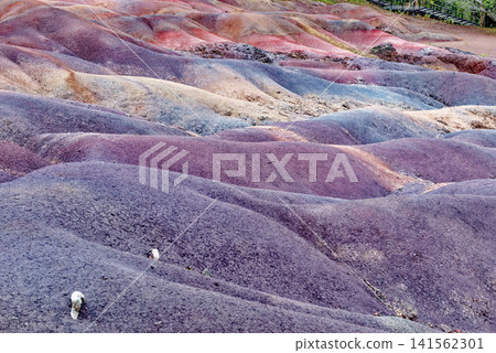 The Famous Seven Coloured Earths Volcanic Dunes in Chamarel, Mauritius 141562301