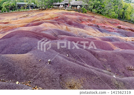 The Famous Seven Coloured Earths Volcanic Dunes in Chamarel, Mauritius The Famous Seven Coloured Earths Volcanic Dunes in Chamarel, Mauritius 141562319
