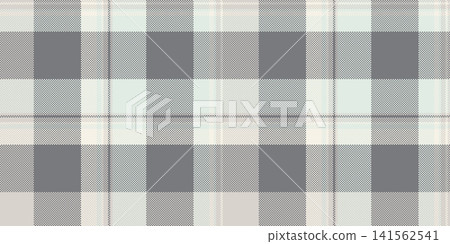 A delicate tartan plaid design with orderly checks and a woven fabric look. White and gray tones give the seamless fabric pattern soft decorative detail for wrapping papers. It suits textile prints. A delicate tartan plaid design with orderly checks and a woven fabric look. White and gray tones give the seamless fabric pattern soft decorative detail for wrapping papers. It suits textile prints. 141562541