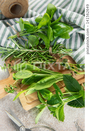Fresh herbs with garden scissors and twine on board 141562649