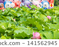 Ueno Park Shinobazu Pond Hass 141562945