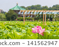 Ueno Park Shinobazu Pond Hass 141562947