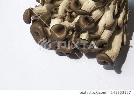 It is an oyster mushroom placed on a white background. It is an oyster mushroom placed on a white background. 141563137