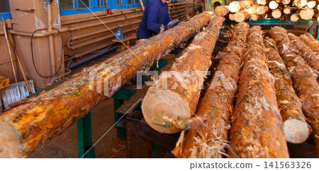 Sawmill worker in cap and ear protection handles Sawmill worker in cap and ear protection handles 141563326