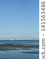 Tidal flats off the coast of Kisarazu 141563486