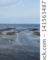 Tidal flats off the coast of Kisarazu 141563487