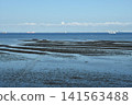 Tidal flats off the coast of Kisarazu 141563488