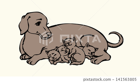 Vector drawing. Dog with kittens Vector drawing. Dog with kittens 141563805