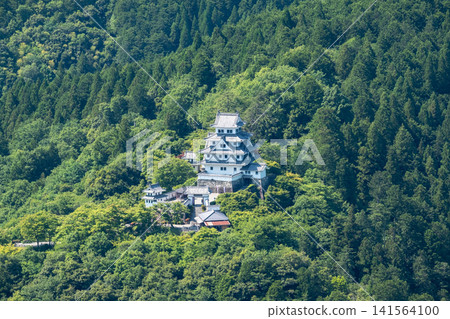 郡上八幡城 郡上八幡城 141564100