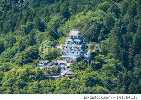 Gujo Hachiman Castle Gujo Hachiman Castle 141564133