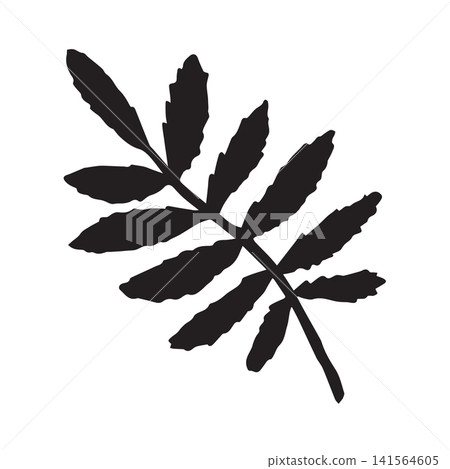 Vector hand drawn rowan leaf silhouette Vector hand drawn rowan leaf silhouette 141564605