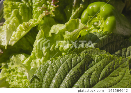 It is a close-up of fresh vegetables. It is a close-up of fresh vegetables. 141564642