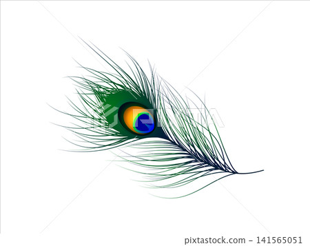 peacock feather 3d realistic on white background. illustration of peacock feather peacock feather 3d realistic on white background. illustration of peacock feather 141565051