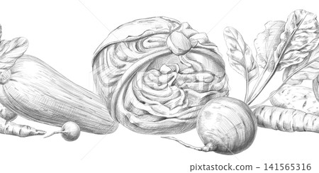 Seamless border with cabbage, beets, zucchini, radishes, and carrots. Graphite pencil illustration for culinary blogs, restaurants, farm food stores, educational materials, and packaging. 141565316