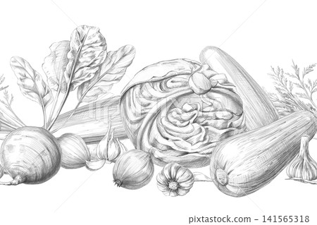 Seamless border with cabbage, zucchini, beets, garlic, and onions. Graphite pencil illustration for culinary blogs, restaurants, farm shops, educational materials, and packaging. Seamless border with cabbage, zucchini, beets, garlic, and onions. Graphite pencil illustration for culinary blogs, restaurants, farm shops, educational materials, and packaging. 141565318