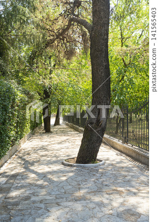 Petrovic Park in Podgorica, Montenegro Petrovic Park in Podgorica, Montenegro 141565403