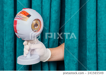 Gloved hand holding anatomical model of human eyeball with cornea and retina on stand. Ophthalmology diagnostic consultation and glaucoma treatment. Gloved hand holding anatomical model of human eyeball with cornea and retina on stand. Ophthalmology diagnostic consultation and glaucoma treatment. 141565549