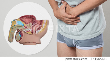 Medical collage showing prostate disease pathology visual aid and man experiencing acute abdominal spasm. Urologist exam and pelvic organ inflammation therapy. Medical collage showing prostate disease pathology visual aid and man experiencing acute abdominal spasm. Urologist exam and pelvic organ inflammation therapy. 141565619