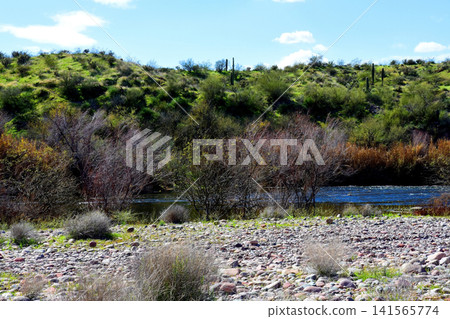 Salt River Recreation Area Arizona Salt River Recreation Area Arizona 141565774