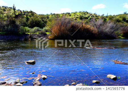 Salt River Recreation Area Arizona 141565776