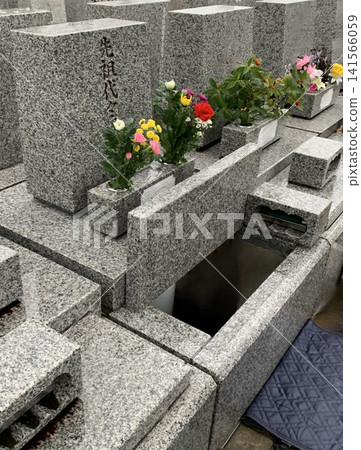 墓室和骨灰甕位於墓碑內,蓋子已打開,準備下葬。 墓室和骨灰甕位於墓碑內,蓋子已打開,準備下葬。 141566059